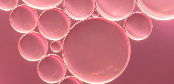 A sinergia entre colágeno tipo II, curcumina e MSM em suplementos articulares