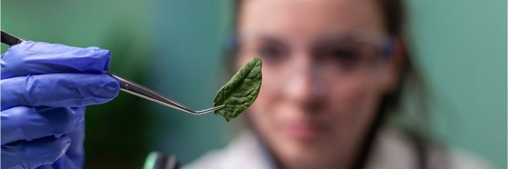 Ingredion registra RECORDES POSITIVOS em 2025
