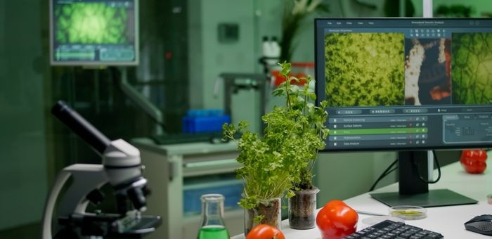 IA Generativa e Preditiva como recurso para redução de custos na indústria de alimentos e bebidas