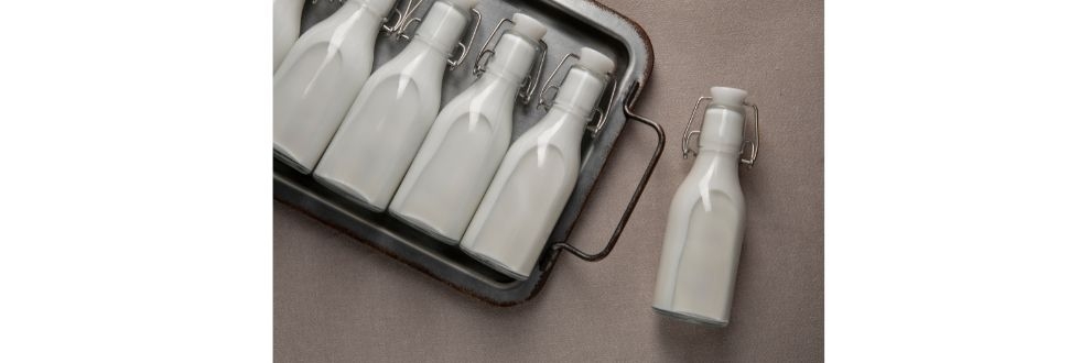 Novonesis lança biossolução para otimizar produção de queijo
