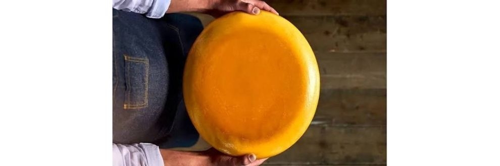 IFF conquista primeiro e segundo lugares no Fi Innovation Awards com soluções de biociência