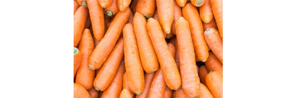 Ingredion obtém aprovação na Europa para Benicaros SF Pure P