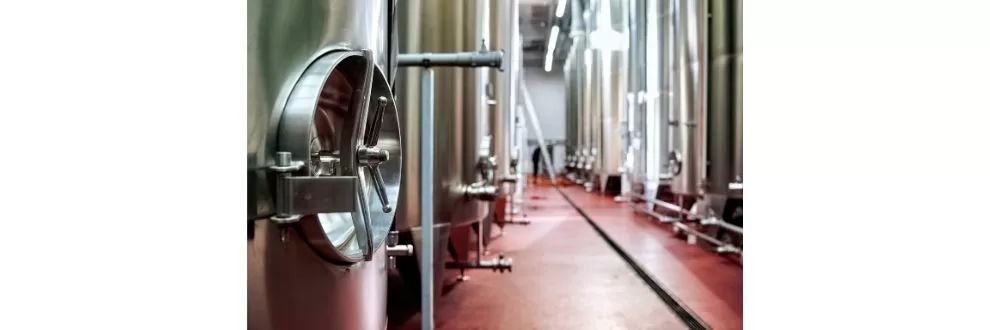 Alimentos fermentados e simbióticos: conceitos, diferenças e desafios