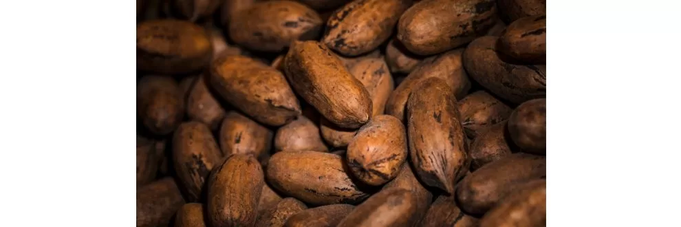 Mars chega a 98% de cacau de origem responsável, mas fica abaixo da meta