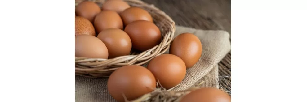 Semana Mundial do Ovo: consumo da proteína mais que dobra em 20 anos no Brasil