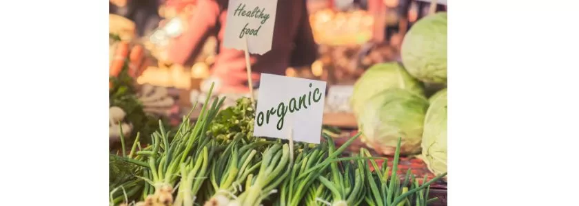 UE chega a acordo provisório sobre regras de produtos orgânicos
